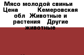 Мясо молодой свиньи › Цена ­ 250 - Кемеровская обл. Животные и растения » Другие животные   . Кемеровская обл.